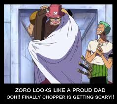 Let S Just All Agree Chopper Is Zoro S Baby One Piece Meme One Piece Funny One Piece Chopper