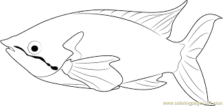 You can use our amazing online tool to color and edit the following rainbow fish coloring pages. Rainbow Fish Coloring Page For Kids Free Other Fish Printable Coloring Pages Online For Kids Coloringpages101 Com Coloring Pages For Kids