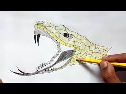 How To Draw A Anaconda Snake Head Amazing Drawing Youtube In this tutorial, you'll find out how and learn to implement those functions in your the specific code required for the anaconda platform to draw a rectangle around faces detected in a photo. how to draw a anaconda snake head amazing drawing