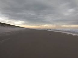 Het Strand Voorbij Woest Picture Of Woest Callantsoog Tripadvisor