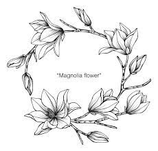 Magnolia Flower Drawing Design Flower Drawing Wreath Drawing