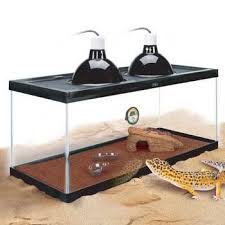 How To Set Up A Leopard Gecko Tank Leopard Gecko Tank Leopard Gecko Gecko