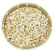 Image result for Coix