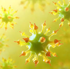 Scientists Reveal How Herpes Virus Hijacks And Hides In Our Cells