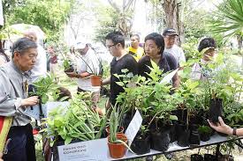 A nursery worker is someone who works outdoors or in a greenhouse, and whose job it is to plant, grow, water, transplant, prune, and generally care for plants, shrubs, and trees. Free Trees And Shrubs For A Greener Penang The Star