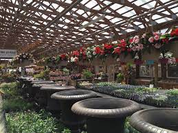 Retail inquiries by email request instagram Glen Echo Nurseries Landscaping Rr 1 Caledon East On Phone Number Yelp