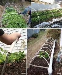 Assemble a winter landscape that not only boasts beauty, but also demands a little attention. Amazing Ideas For Fall Winter Gardening Cold Frame Cold Frame Gardening Winter Garden