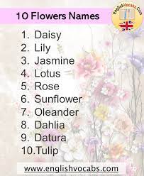 Flowers name in bengali & english. 10 Flowers Name List English Vocabs