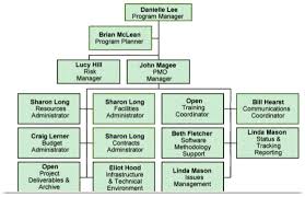 defining program governance and structure