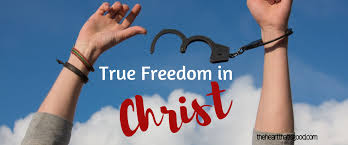 Celebrating True Freedom in Christ | The Heart That Is Good
