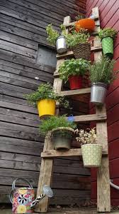 Basilikum Blumenampel Selber Machen Blumenleiter Blumentopaufhangung Diy Leiter Gartengestaltung Gartenkrauter Krauterar Pallets Garden Garden Decor Diy Garden