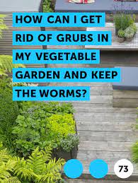Pin On Pests Weeds Problems