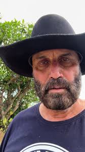 Plomer Bird Swooping