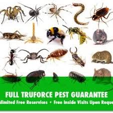 Whether there's a rodent in your basement or insects in the attic, call not sure which type of home pest control service in las vegas, nv can tackle your issue? Truforce Pest Control 19 Photos 53 Reviews Pest Control 5940 S Rainbow Blvd Las Vegas Nv Phone Number