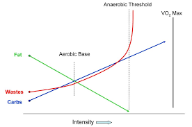 Vo2 Max Zone 5 Training Tailwind Coaching Power Building