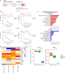 GDF15 promotes 5-Fluorouracil and Oxaliplatin resistance by promoting stem cell-like phenotype in colorectal cancer