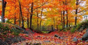 12 razones para visitar nueva york en otoño. Las Rutas De Otono En New England Revista En Exclusiva