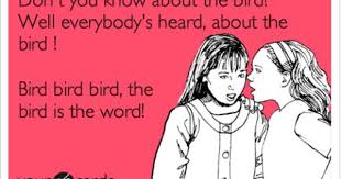 Bird Bird Bird Bird Is The Word Peter Griffin Pin On Family Guy
