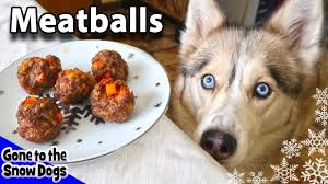 Homemade Meatballs For Dogs Diy Dog Treats Recipe 92 Homemade Meatballs For Dogs Today We Are Show Dog Treats Homemade Recipes Diy Dog Treats Homemade Dog