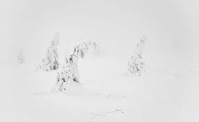 Hd Wallpaper Winter White Snow Aesthetic Seasons Nature Landscape Trees Wallpaper Flare Aesthetics digital wallpaper, vaporwave, kanji, chinese characters. winter white snow aesthetic seasons