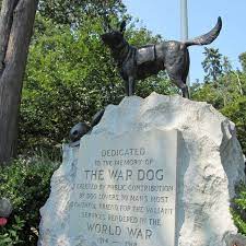 The cast, especially dale midkiff and fred gwynne are at their best and make this story believable. Hartsdale Pet Cemetery Hartsdale New York Atlas Obscura