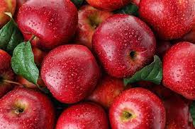 They grow on the apple tree (malus domestica), originally from central asia.apples are high in fiber, vitamin c, and various antioxidants. Turkish Fruit Producers Get Green Light From Thailand S 210m Apple Market Daily Sabah