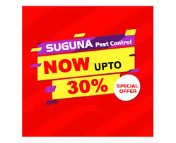 Bedbugs are a nightmare for the hospitality industry. Suguna Pest Control Services Chennai 35 Yrs Termite Control