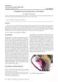 The most common cause of canine uti is a bacterial infection that enters through a dog's urethral opening and moves further upward into the urinary tract. Pdf Paraphimosis In A Great Dane Dog A Case Report
