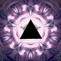 Rococo to Revolution: Major Trends in Eighteenth-Century Painting by Michael  Levey