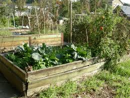 Maybe you would like to learn more about one of these? Is Treated Wood Safe In The Vegetable Garden Laidback Gardener