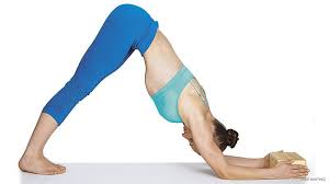 4 Steps To Master Dolphin Pose Yogajournal Com Yoga Practice Podcast Dolphin Pose Dolphin Pose Yoga Cool Yoga Poses