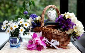 Check spelling or type a new query. Flower Basket Wallpaper Photography Wallpapers 17984