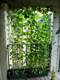 We did not find results for: 30 Clever And Pretty Diy Outdoor Privacy Screens