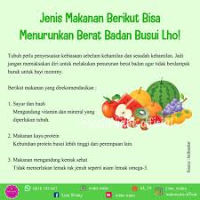 Makanan protein tinggi untuk ibu menyusui. Makanan Yang Bisa Menurunkan Berat Badan Untuk Ibu Menyusui Wake Wake Official