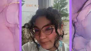 Fundraiser by Shelly Marr : Help Dixie through her cancer treatments