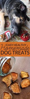 As a rule of thumb, no more than 10% of your dog's daily calorie intake should come from treats. Healthy Homemade Dog Treats Bren Did