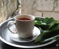 Many of us are familiar with soursop as a fruit. Soursop Leaves Tea Cancer Freeee 8 Steps Instructables