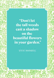 Check spelling or type a new query. 35 Inspirational Flower Quotes Best Quotes About Flowers