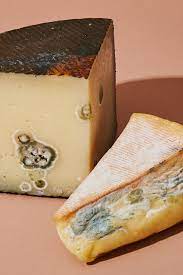 Aug 07, 2021 · mozzarella in the form of cheese sticks lasts much longer. Is Moldy Cheese Okay To Eat Bon Appetit