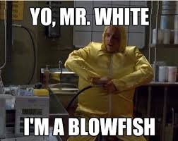 I M A Blowfish Breakingbad Breaking Bad Breaking Bad Jesse Breakin Bad