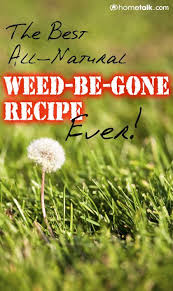 Natural Weed Control That Works