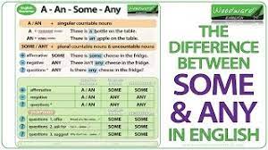 We did not find results for: Some And Any In English Grammar Lesson Youtube