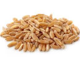 Kamut is our favorite wheat for breads! Meet This Grain Kamut Food Network Healthy Eats Recipes Ideas And Food News Food Network
