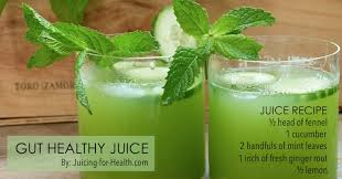Find top recipes for juicing fruit and vegetables at home. Juice Recipes For Gut Health Restore The Health Of Your Digestive System