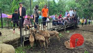 Membaur dan melebur menjadi satu kesatuan obyek wisata. Awali Tahun 2020 Wisatawan Taman Botani Sukorambi Melonjak Petisi Co