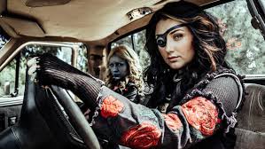 Image result for z nation