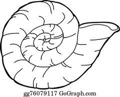 A collection of ammonite fossils that date to the lower jurassic system. Ammonite Clip Art Royalty Free Gograph