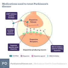 Despite current medical breakthroughs, parkinson's remains a disease best managed through ongoing treatment & medication. Medications For Parkinson S Disease