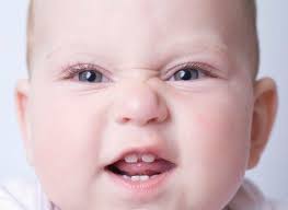 Sandra Terra Garbellotto (drasandraterra)