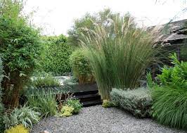 Asian Inspired Foliage Zen Garden Design Japanese Garden Design Backyard Zen Garden